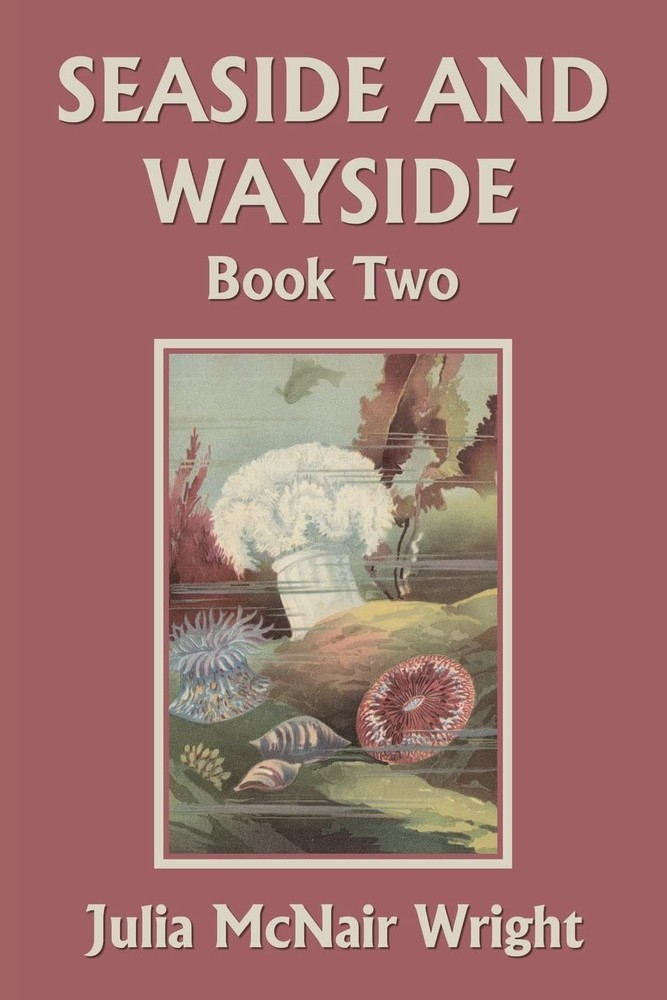 Seaside and Wayside, Book Two (Yesterday's Classics) by Wright