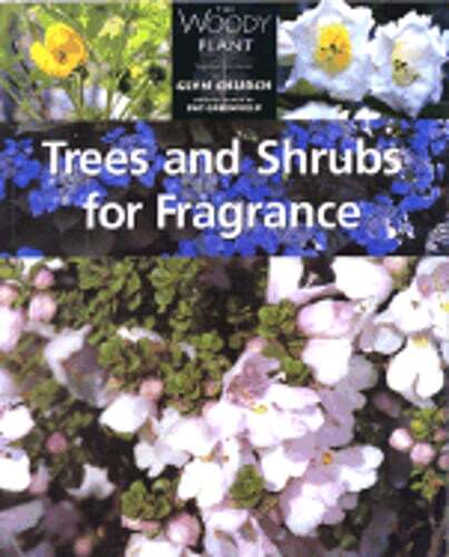 Trees and Shrubs for Fragrance by Glyn Church: Used