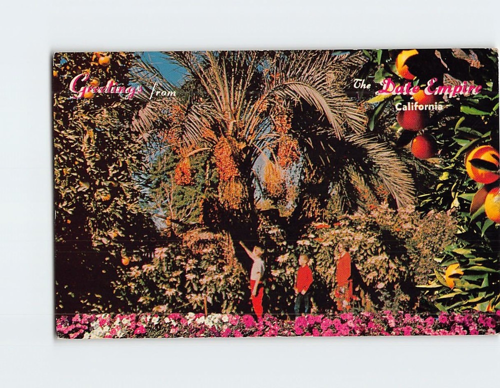 Postcard Greetings From The  Date Empire Indio California