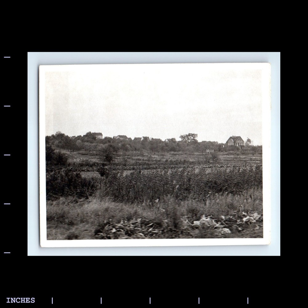 Old Vintage Photo LANDSCAPE VILLAGE HOUSES AND FIELD