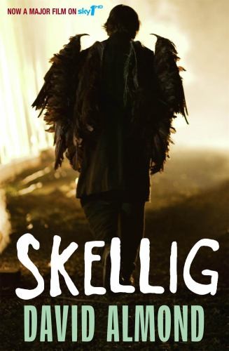 Skellig: TV Tie-In by Almond, David Paperback Book The Fast Free ShippingFREE US DELIVERY | ISBN: 0340997044 | Quality Books