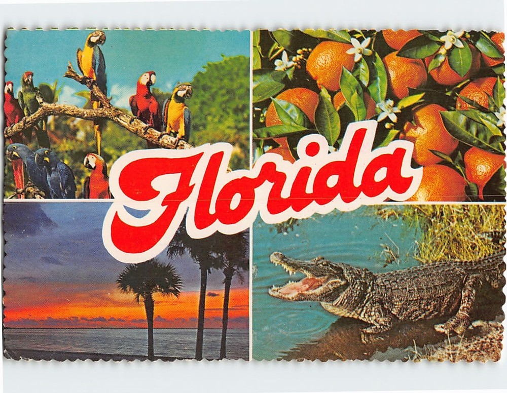 Postcard Scenes & Views Florida USA