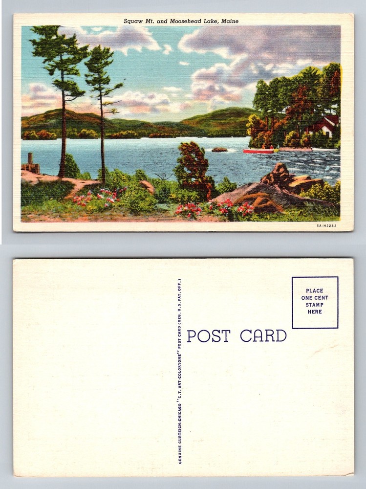 Greenville, ME-Maine, Squaw Mt Moosehead Lake Scenic Shoreline Vintage Postcard