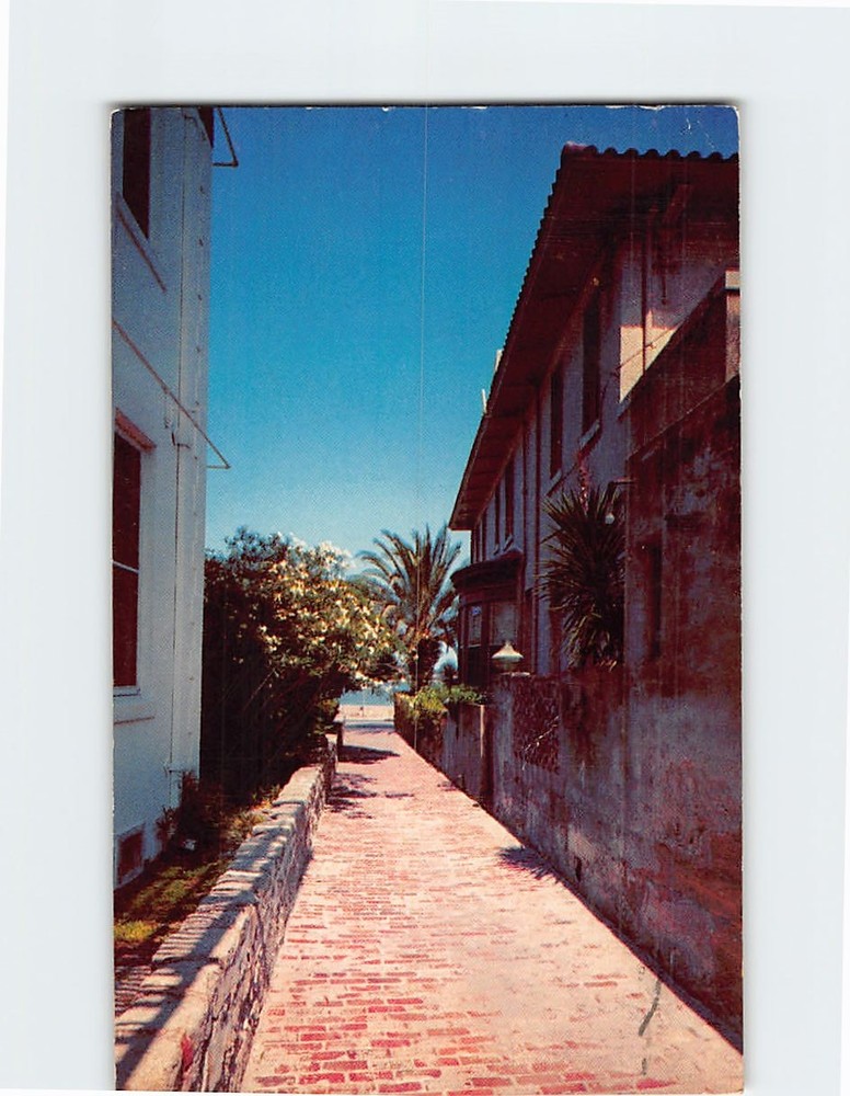 Postcard Treasure Street St. Augustine Florida USA