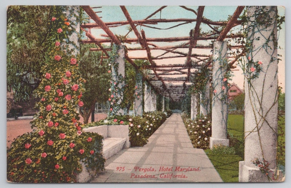 Pasadena CA Hotel Maryland Pergola Roses Edward H Mitchell Postcard
