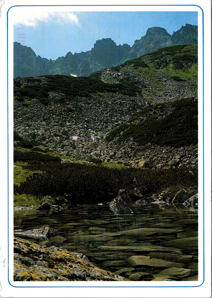 Vintage Postcard The Tatras Panszczyca Valley Poland Scenic Mountains