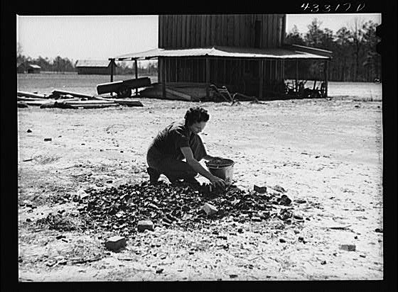 Cumberland County,Fayetteville,North Carolina,NC,Farm Security Administration,2