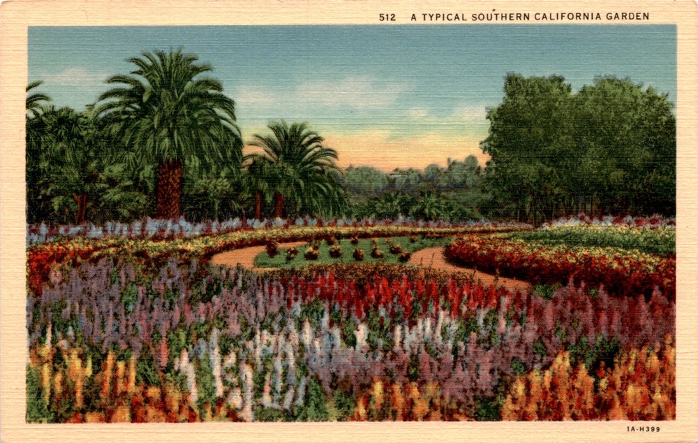 Southern California, Los Angeles, California Postcard