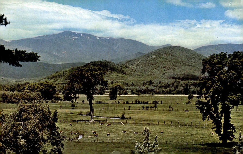 1960s Mt Washington Intervale White Mountains NH Bromley Chrome Postcard