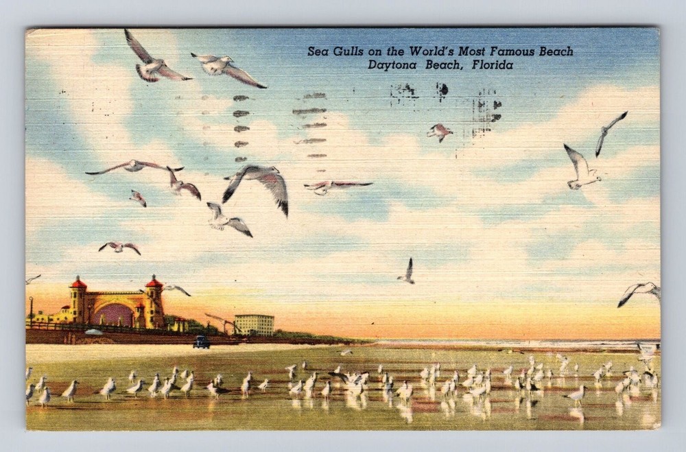 Daytona Beach FL-Florida, Sea Gulls Famous Beach Antique Vintage c1962 Postcard