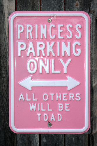 FUNNY PARKING SIGN POSTER Princess Parking Only RARE HOT NEW 20x30-YW9