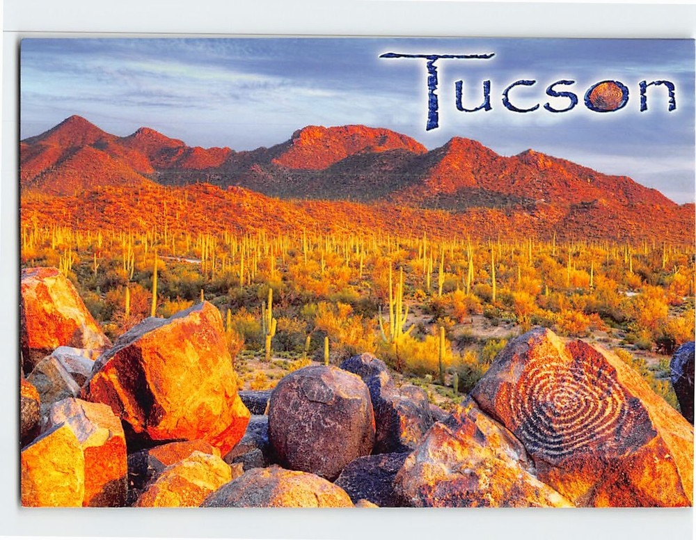 Postcard Signal Hill Saguaro National Park Tucson Arizona USA