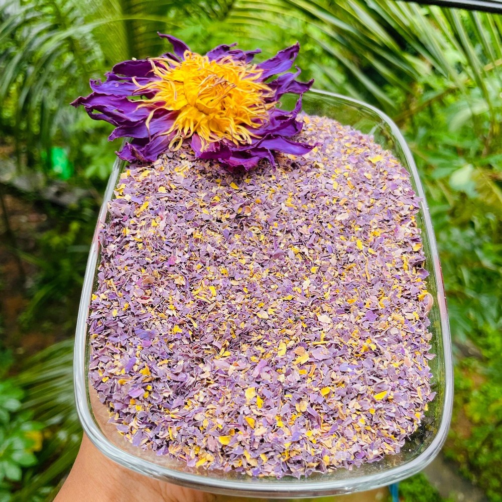 Egyptian Blue Lotus Natural Herbal Tea Cut Pre-Grounded Organic Nymphaea Caerulea