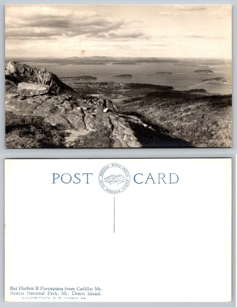 Bar Harbor Porcupines Cadillac Mt Acadia National Park Maine RPPC Postcard-image