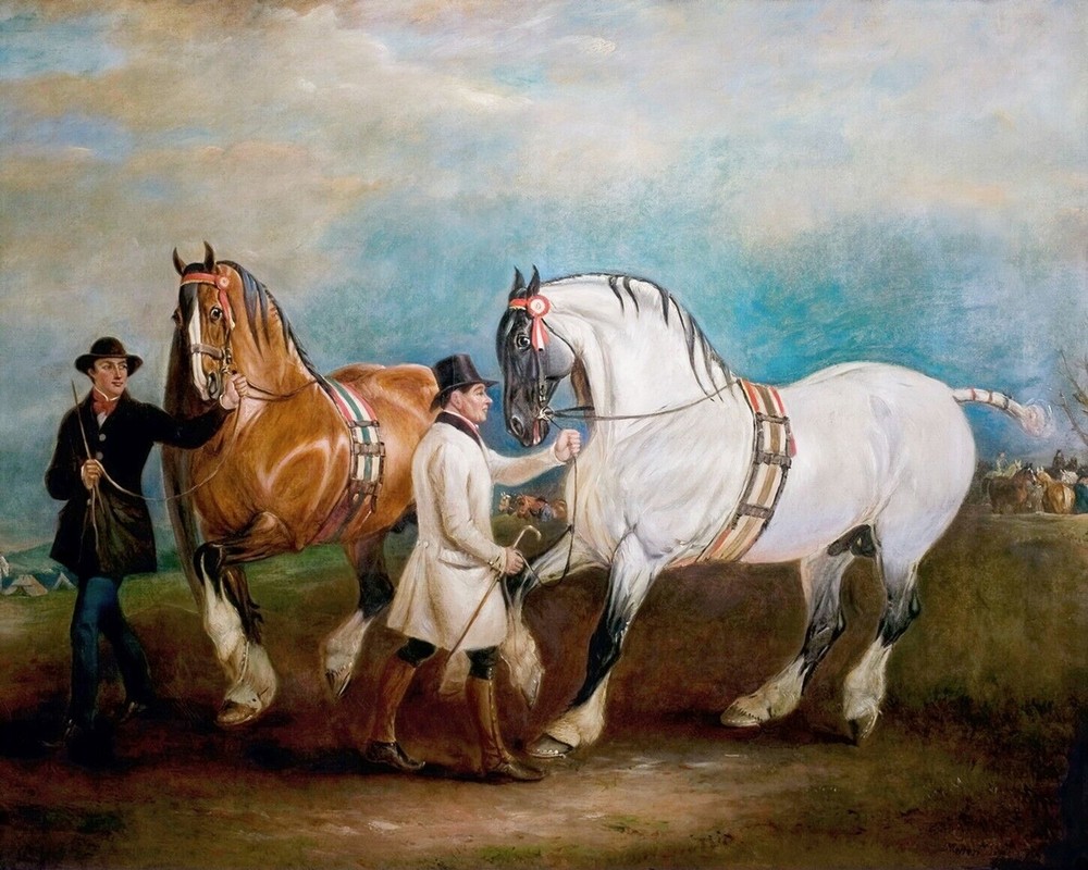 Clydesdale Cart Horses Print 11x14 Acid-Free Museum 100% Cotton Giclee Paper A52-image