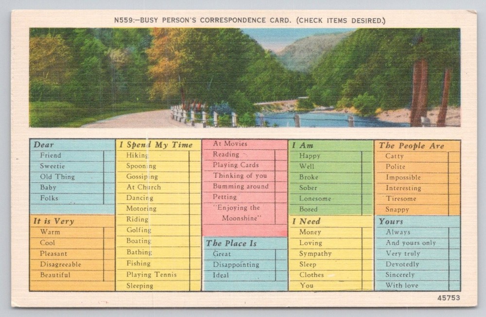 Vintage Busy Person's Correspondence Card Asheville NC Scenic Linen Postcard