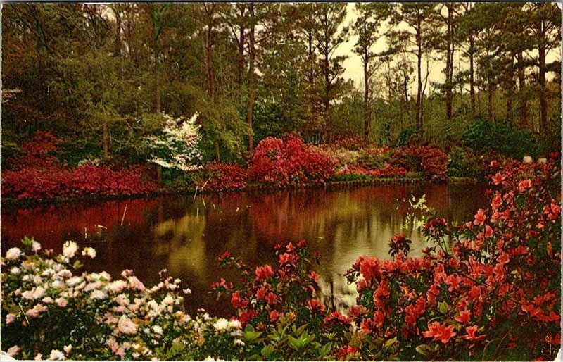 Postcard GARDEN SCENE Mobile Alabama AL m/09 AO1495
