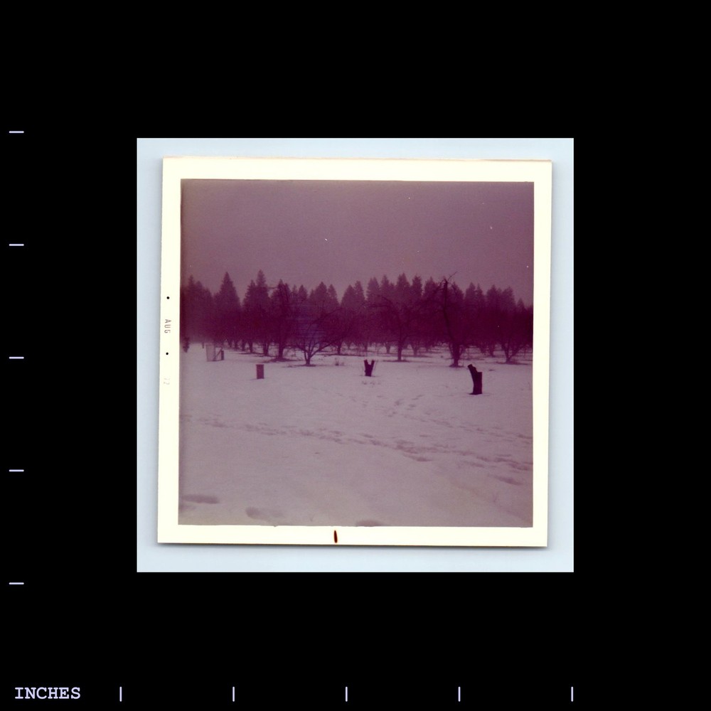 Square Color Photo FIELD LANDSCAPE SNOW WINTER SCENE