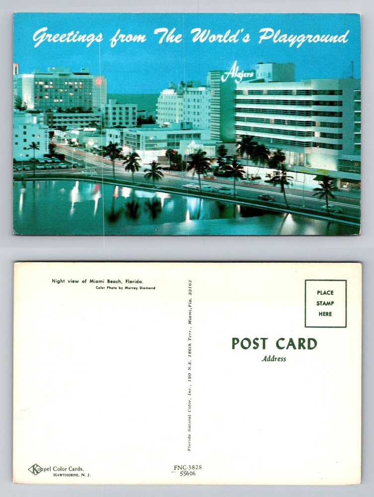 Miami Beach, FL-Florida, Night View The Algiers Hotel Skyline Vintage Postcard
