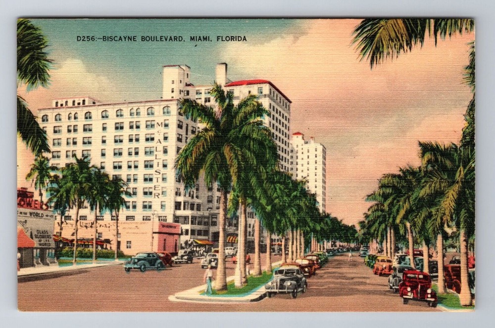 Miami FL-Florida, Biscayne Boulevard, Antique, Vintage Souvenir Postcard