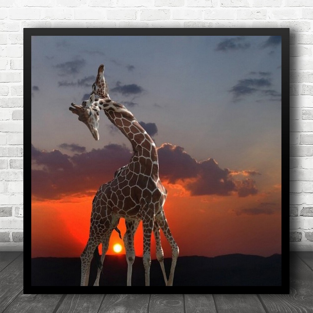 Animal Sunset Red Zoo Fauna Sky Clouds Giraffe Twisted Square Wall Art Print
