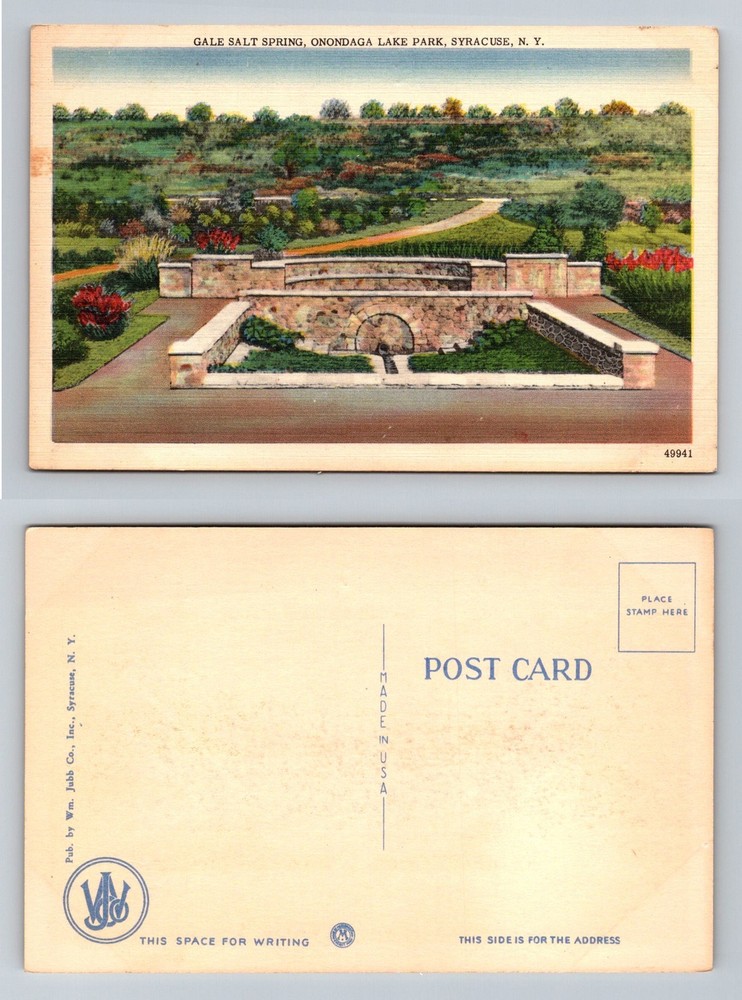 Syracuse, NY-New York, Gale Salt Spring Onondaga Lake Park Vintage Postcard
