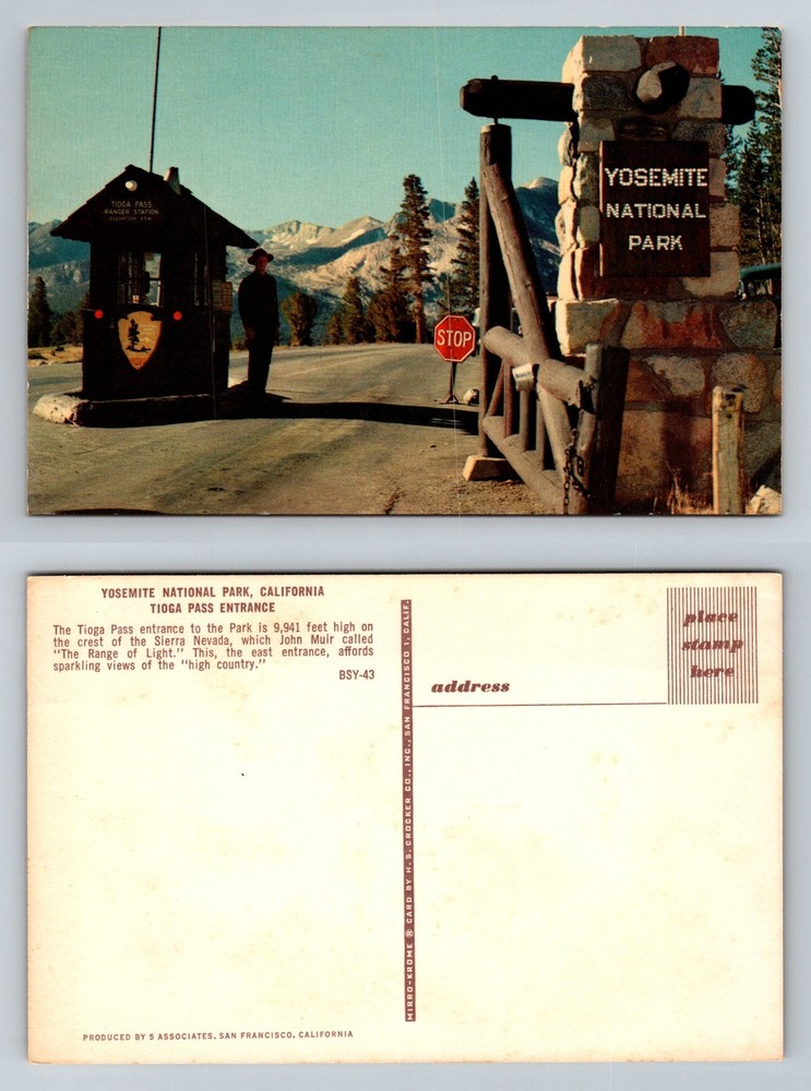 Yosemite NP, CA-California, Tioga Pass Entrance Ranger Station Vintage Postcard