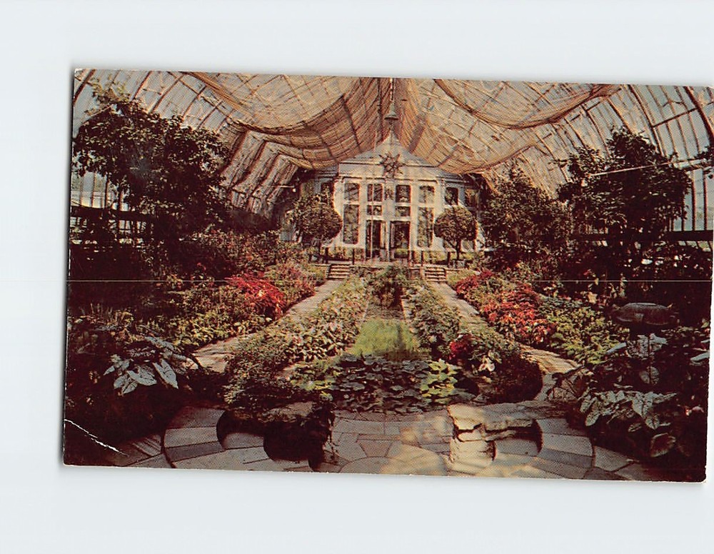 Postcard Interior Conservatory Como Park St. Paul Minnesota USA