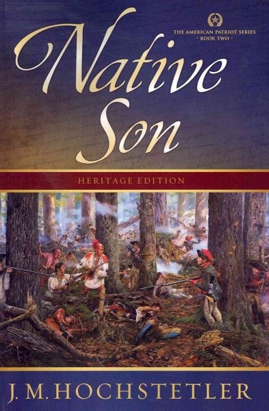 Native Son, Paperback by Hochstetler, J. M., Like New Used, Free shipping in ...