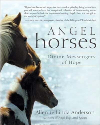 Angel Horses: Divine Messengers of Hope by Capt. Anderson, Allen: Used