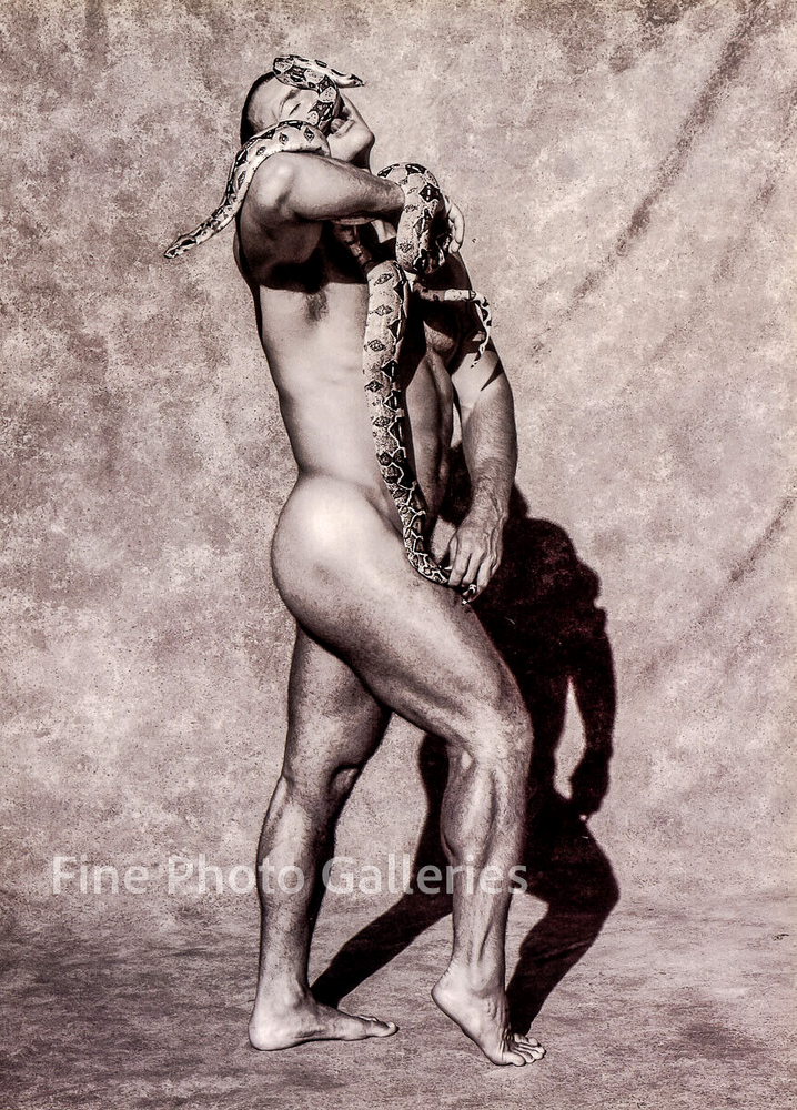 1990s Vintage MALE NUDE Muscle Snakes Boas Reptile Duotone Photo Engraving 16x20