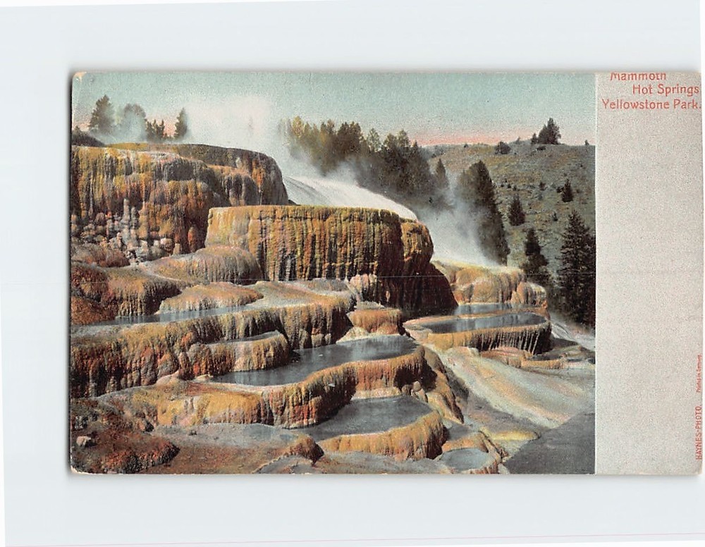 Postcard Mammoth Hot Springs Yellowstone Park Mammoth Wyoming USA