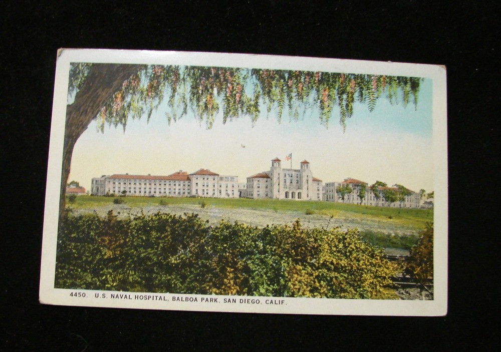 Vtg Postcard 