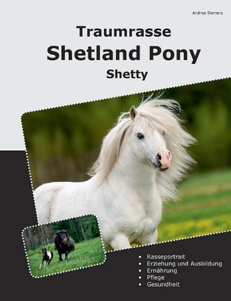Traumrasse Shetland Pony: Shetty by Andrea Siemers (German) Paperback Book
