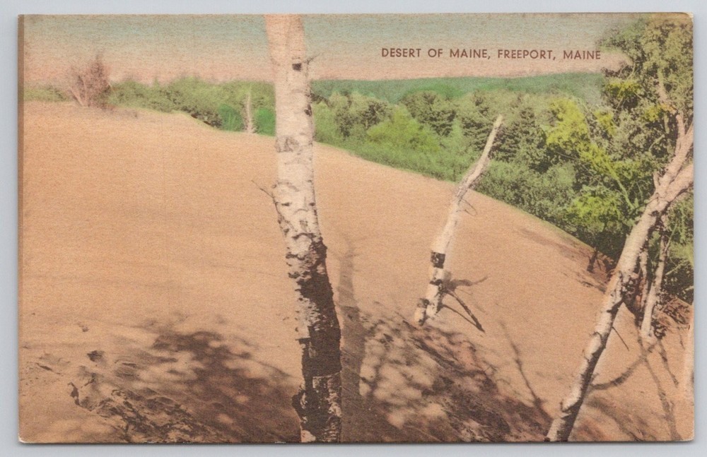 Desert of Maine Freeport Postcard Hand Colored Sand Dunes E. D. West Co.