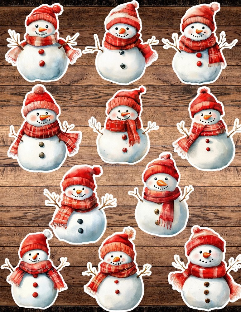Red Hat Snowman Die Cut Vinyl Stickers Set Scrapbooking Laptop Waterbottle