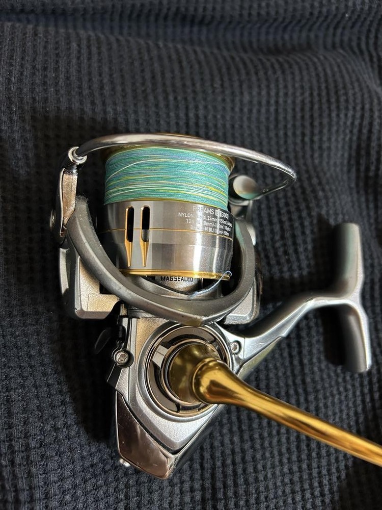 Daiwa Freems LT3000 Spinning Reel for Light Shore Jigging 0615 Used