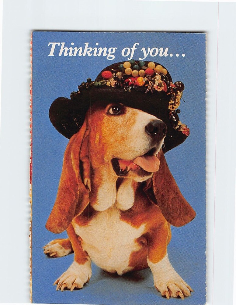 Postcard Thinking of You Cute Beagle Dog