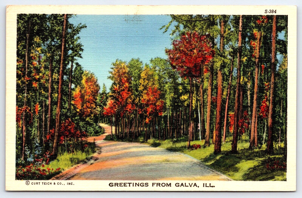 Vintage Postcard Old Outdoor Antique Image Greeting Road Street Fall Trees