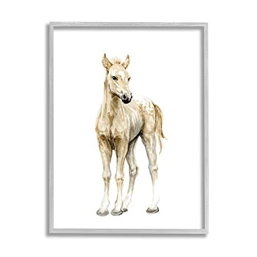 Baby Horse Foal Watercolor Portrait ' Nursery Animal Grey Framed Wall Art, 24...