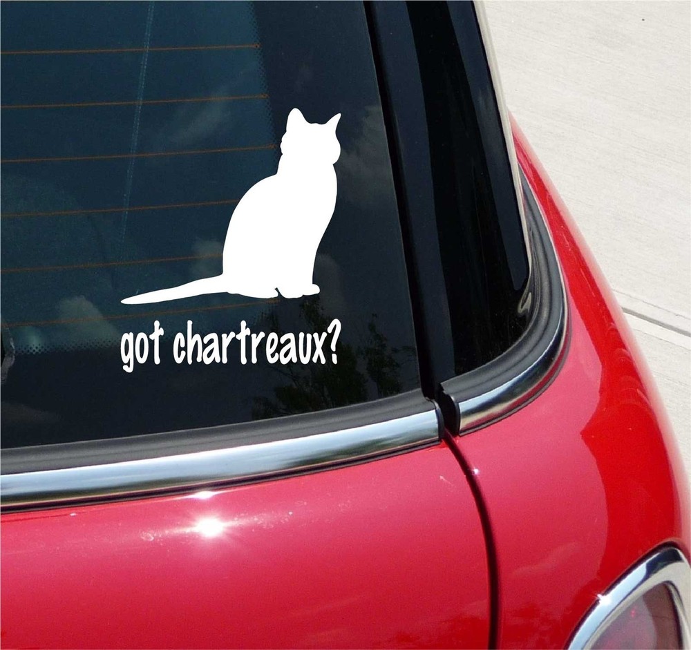 GOT CHARTREAUX? CAT GRAPHIC DECAL STICKER ART CAR WALL DECOR