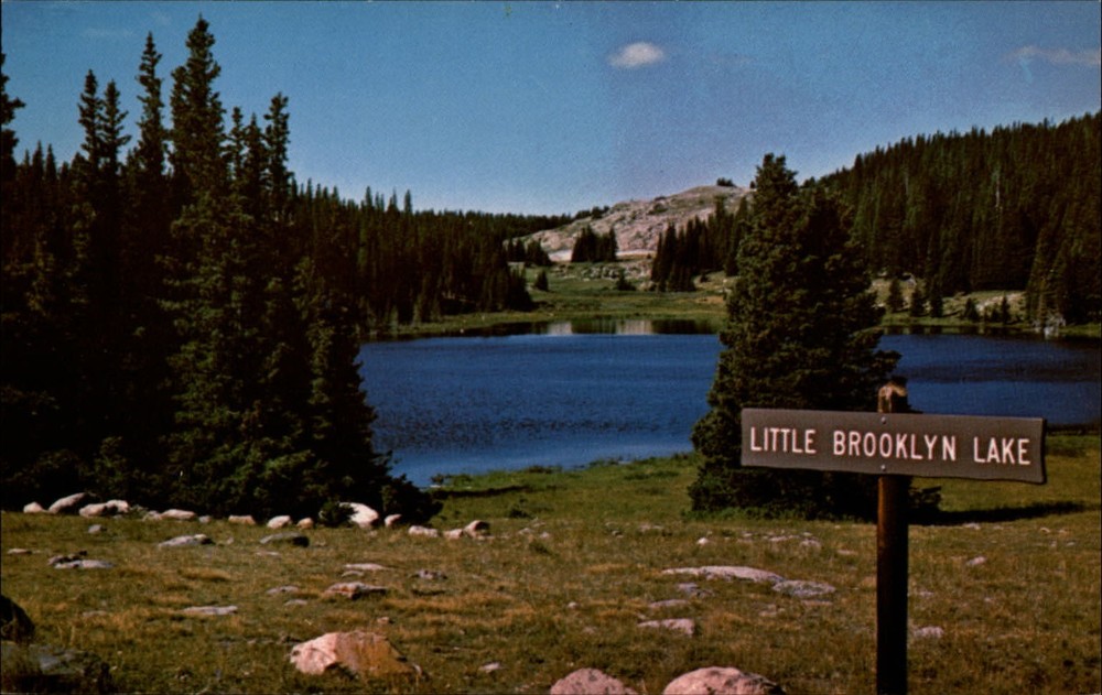 Little Brooklyn Lake Snowy Range Medicine Bow National Forest Wyoming ~ postcard