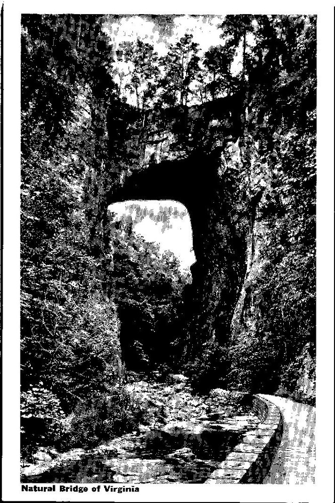 Vintage Postcard 1930's Natural Bridge, Rockbridge Cnty., Virginia (VA)