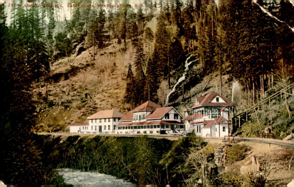 Shasta Springs, California, Family Greetings, 1900s Postcard