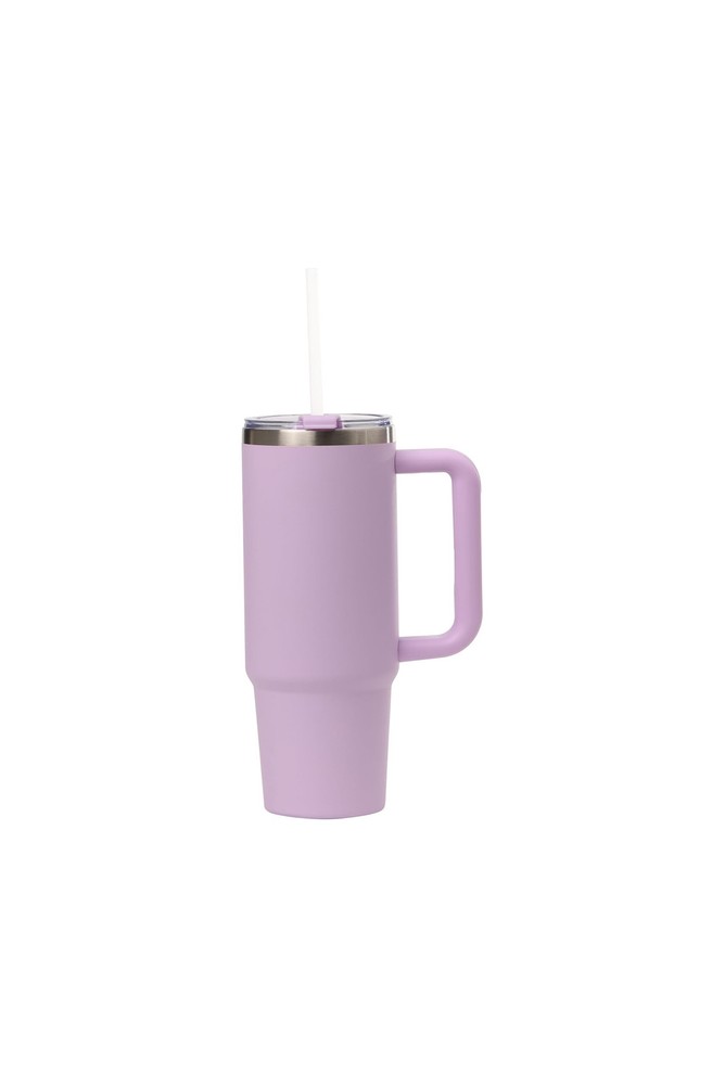 Cayman 30 oz Stainless Steel Tumbler with Handle, Lid, and Straw | Double Wal...