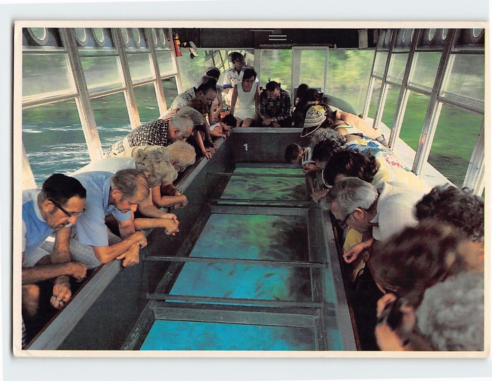 Postcard Glass Bottom Boat Tours Silver Springs Florida