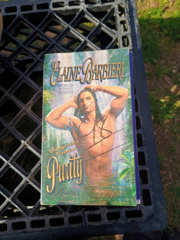 Elaine Barbieri Dangerous Virtues Purity Romance Paperback Novel for Adults