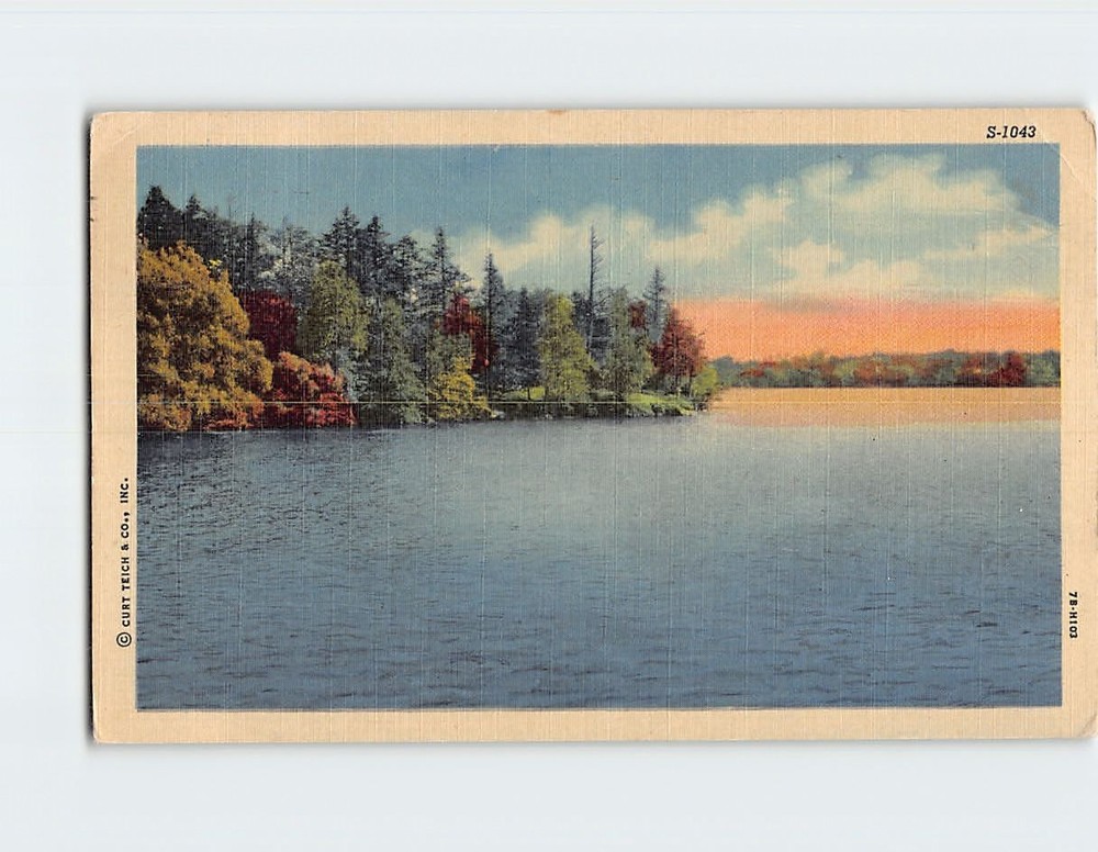 Postcard Greetings from Eufaula Alabama USA North America Curt Teich