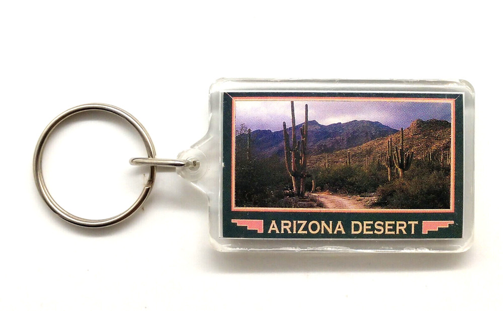 Vintage Arizona Desert Cactus Mountains Keyring Keychain