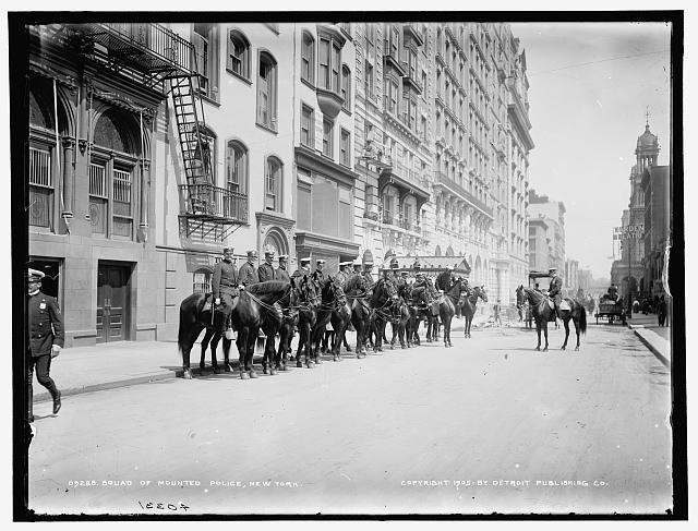 Photo:Squad,mounted police,parade,horseback riding,streets,buildings,New